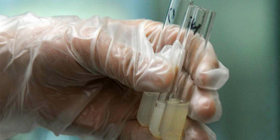 产前亲子鉴定(图8)